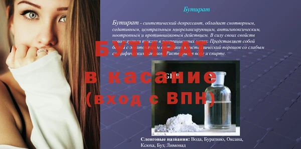стафф Гусев
