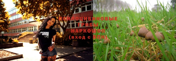 стафф Гусев