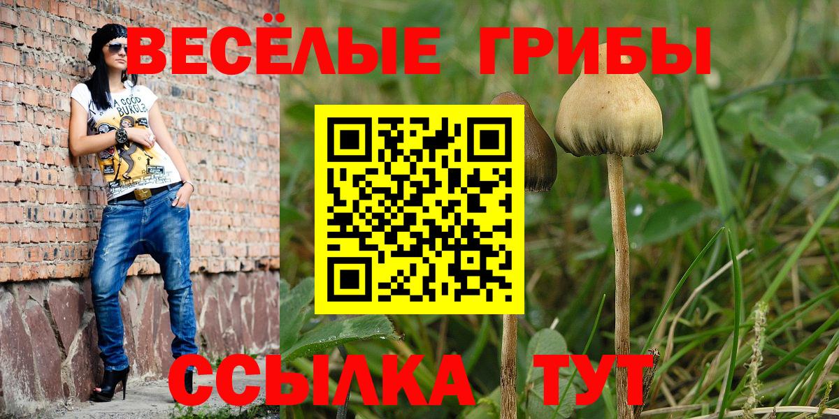 Псилоцибиновые грибы ЛСД Ефремов