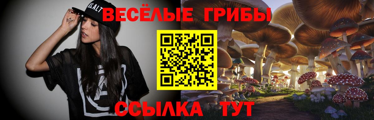 Галлюциногенные грибы прущие грибы  Вход с VPN  наркота  Ефремов 