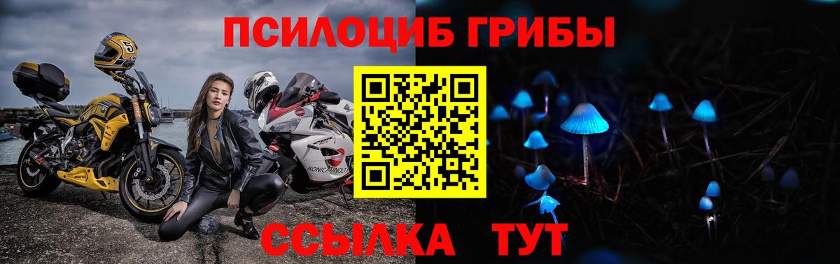 Галлюциногенные грибы Magic Shrooms Ефремов