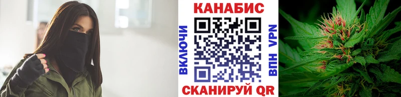 дарнет шоп  Ефремов  Канабис планчик 